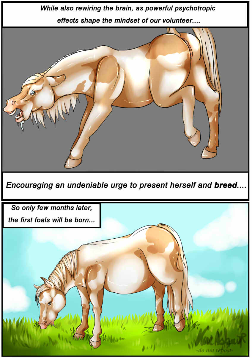 Horse Potion page 3 full