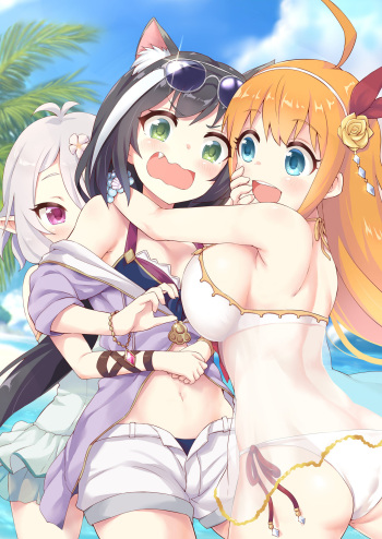 kokkoro-pixiv3000+ cover