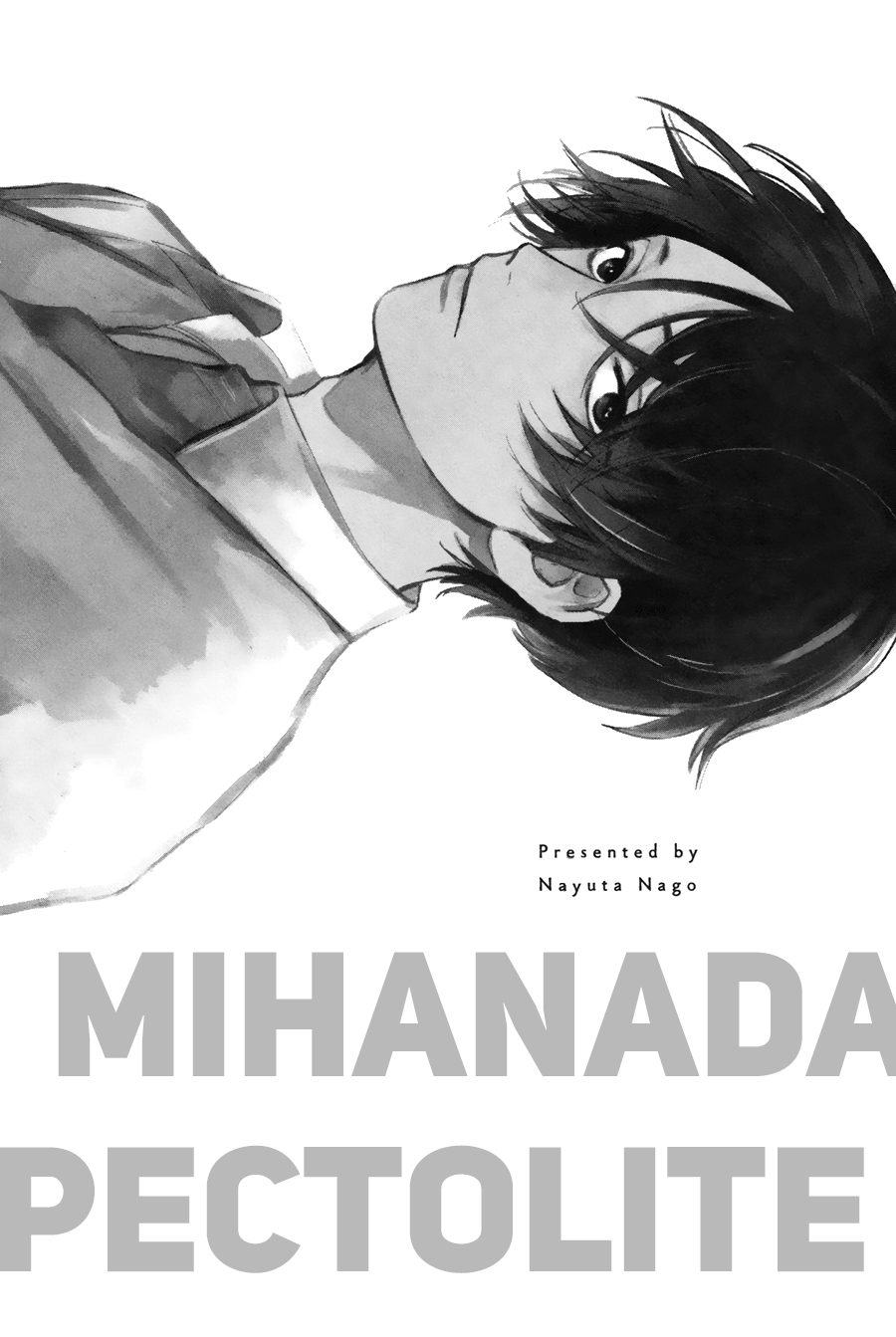 Mihanada Pectolite page 2 full