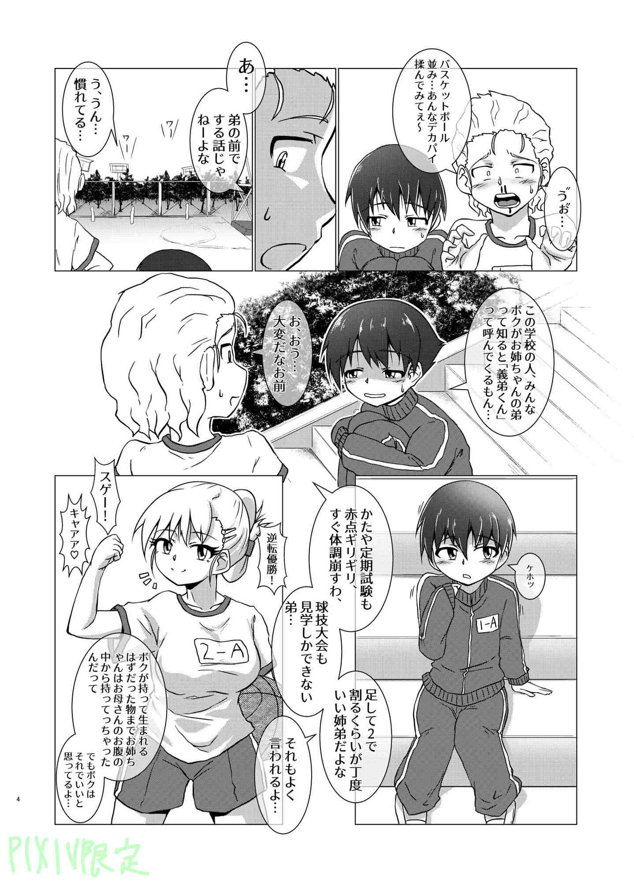 KamiAne page 3 full