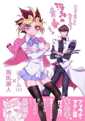 Tori modoshite miseru ze! Kaiba no seishun o! !sample cover