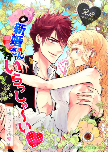 Shinkon-san Irassha~i cover