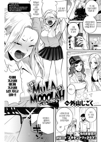 MULA MOOOLAH cover