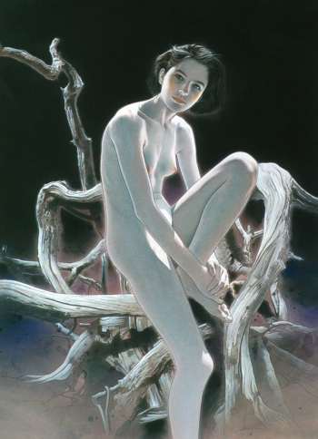 Hot Illusion by Junichi Murayama cover