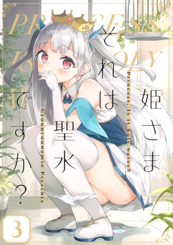 Hime-sama Sore wa Seisui desu ka? 3 cover