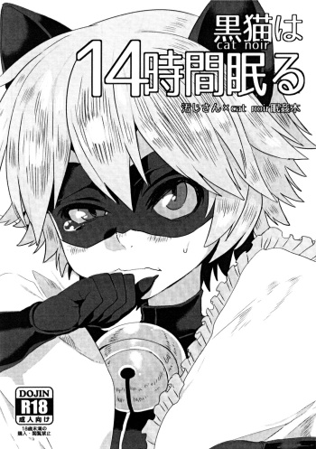 Cat Noir wa 14-jikan Nemuru cover