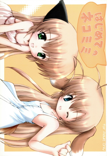 Hajimete no Nekomimi cover