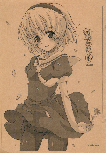 Shin Izumi no Hiroba 2 cover
