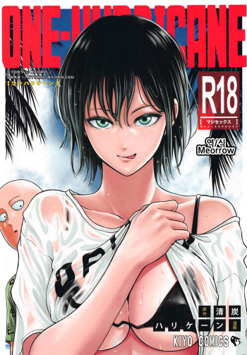 ONE-HURRICANE 6.5 cover
