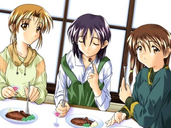Shoin, Aruiwa Ushinawareta Yume no Monogatari. cover