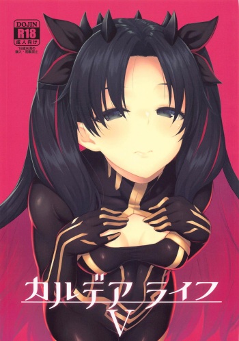 Chaldea Life V cover