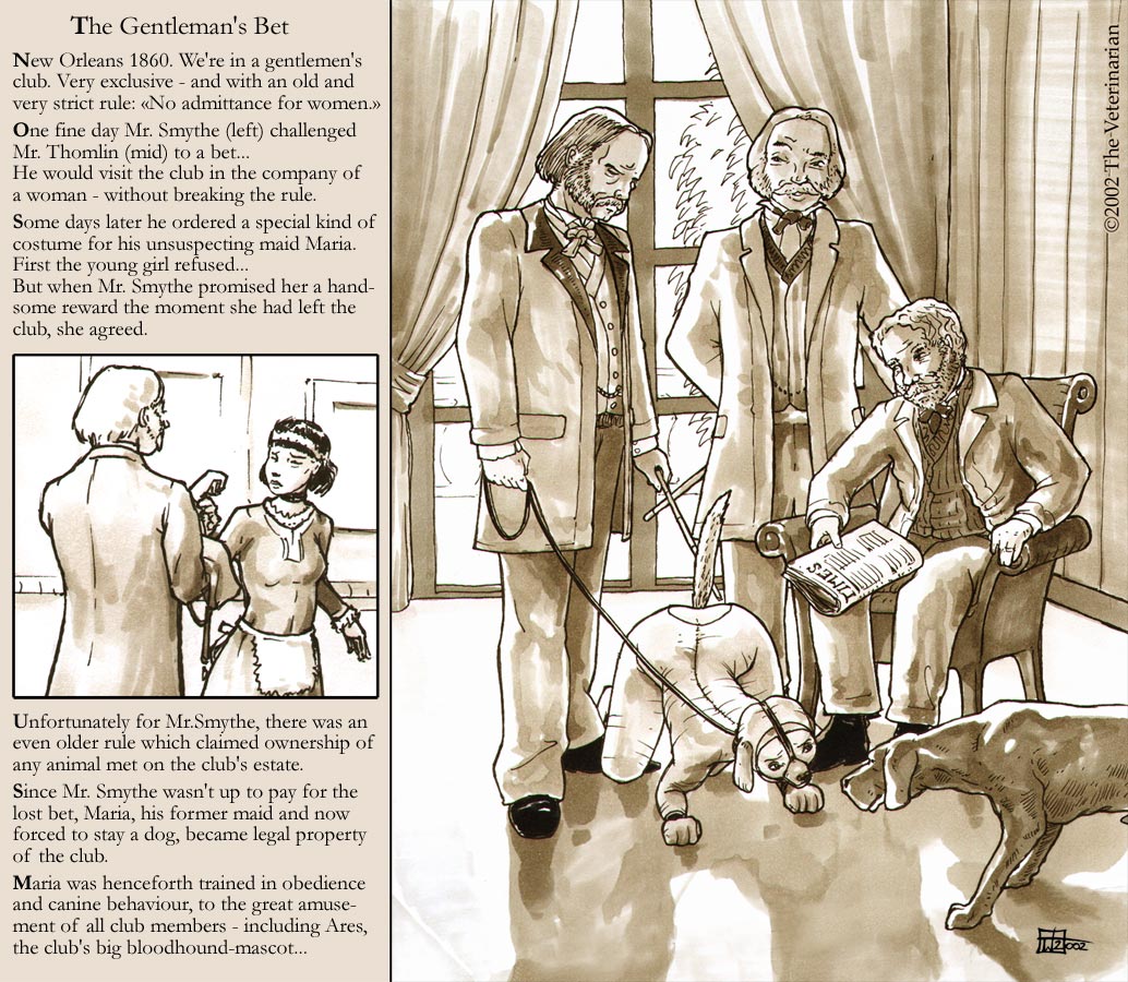 Artist Gallery - The Veterinarian page 6 full