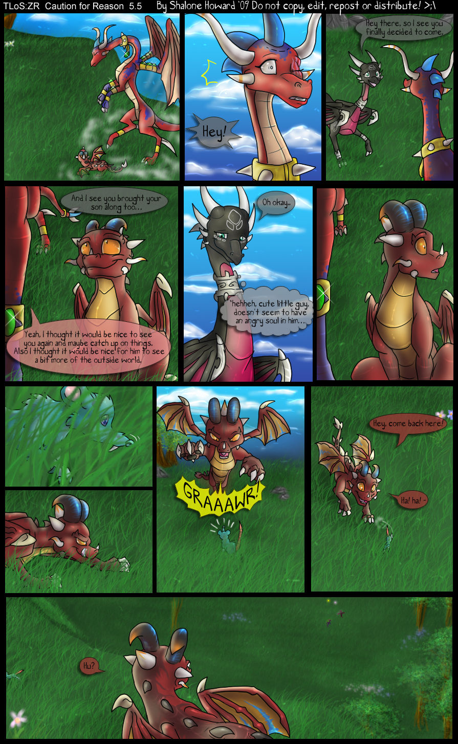 caution for reason ENGLISH page 5 full