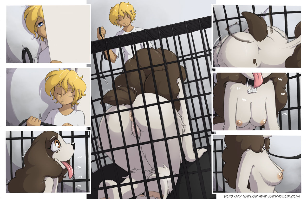 Dixie page 2 full