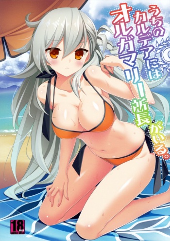 Uchi no Chaldea ni wa Olga Marie Shochou ga Iru. cover