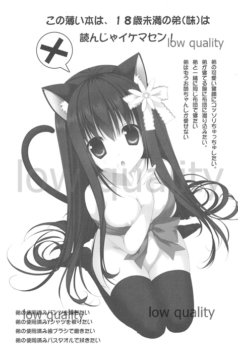 Onee-chan to Chucchu Shiyo page 2 full