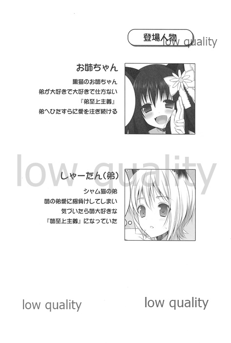 Onee-chan to Chucchu Shiyo page 3 full