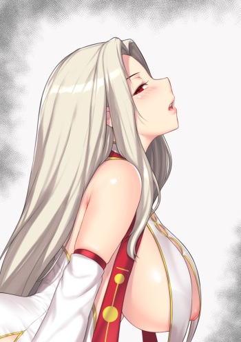 Irisviel von Einzbern cover