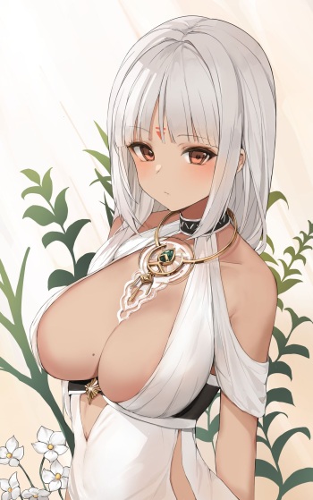 ドロック cover