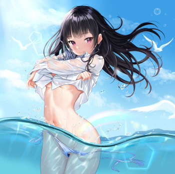 shark cover