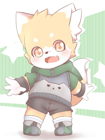 Toruu cover