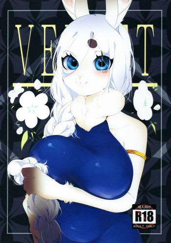 VELVET cover