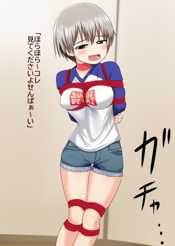 Uzaki-chan wa karakaitaikedo karamatta cover