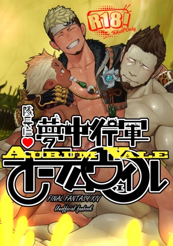 Taichou ni Muchuu Kougun Aurum Vale cover