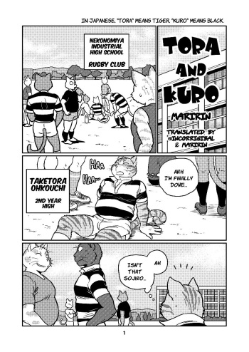 Tora and Kuro cover