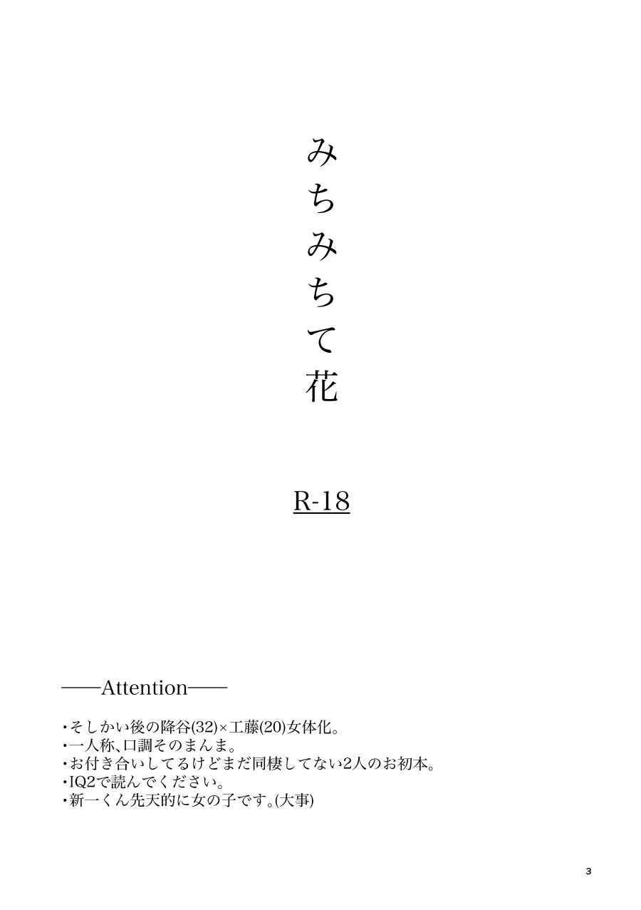 Michimichite Hana page 2 full