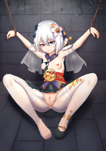 崩坏3rd德丽莎工口处刑 cover