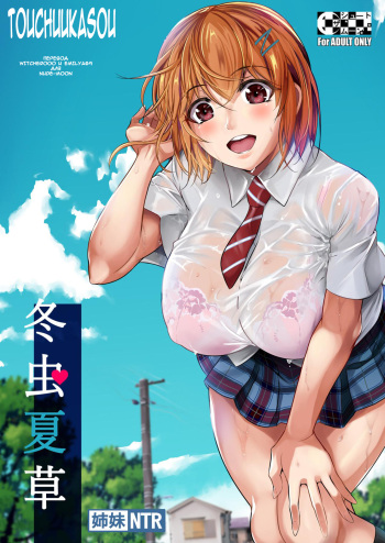 Touchuukasou cover