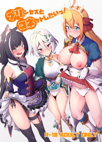 Princess to Connect Shitai! cover
