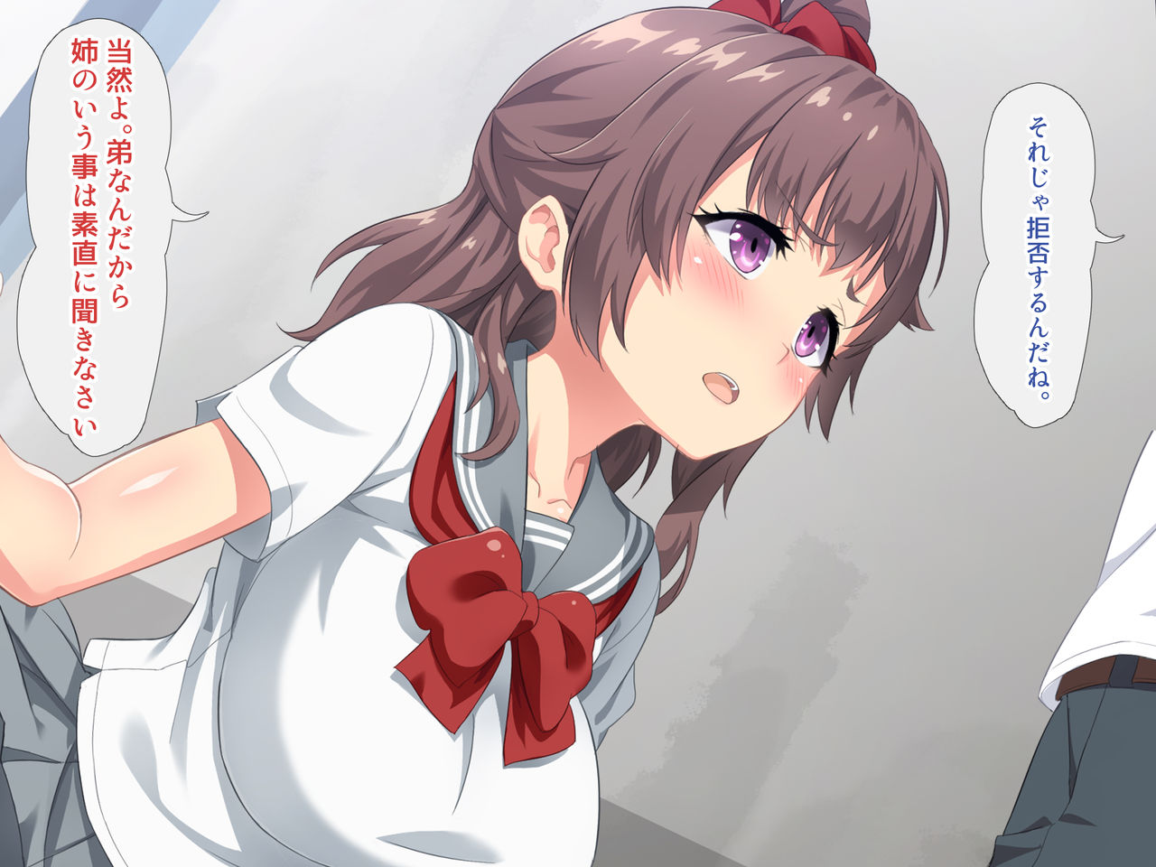 Kyousei Sex Kyokashou o Eta Boku ga Ane o Okashimakuru nante!! page 9 full