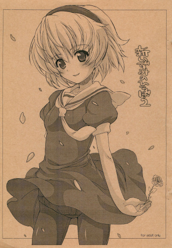 Shin Izumi no Hiroba 2 cover