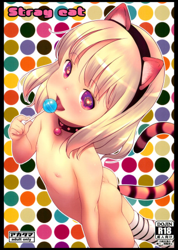 Stray cat cover