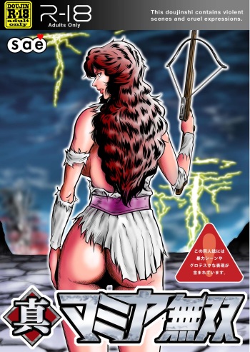 Shin Mamiya Musou cover