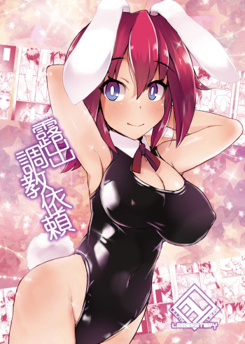 Roshutsu Choukyou Irai 3 cover