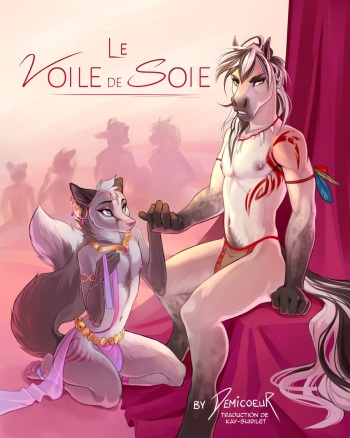 The Silk Sash / Le Voile de Soie cover
