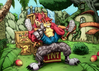 Crash X Crunch cover