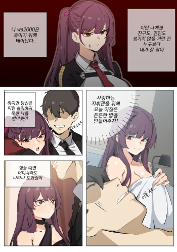 WA2000 cover