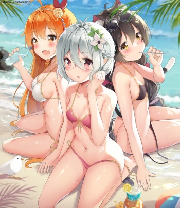 ChinTora0201 cover
