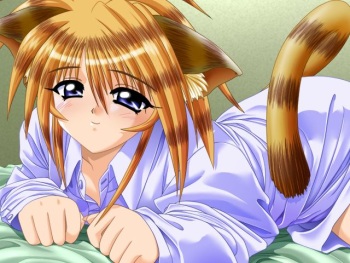 Triangle Heart ~Love Love Omochabako~ cover