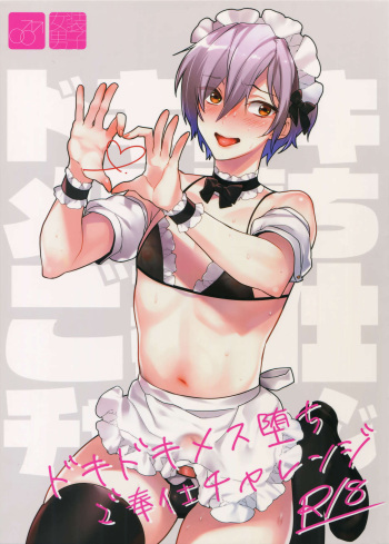 Dokidoki Mesu Ochi Gohoushi Challenge cover