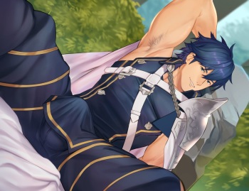 Chrom cover