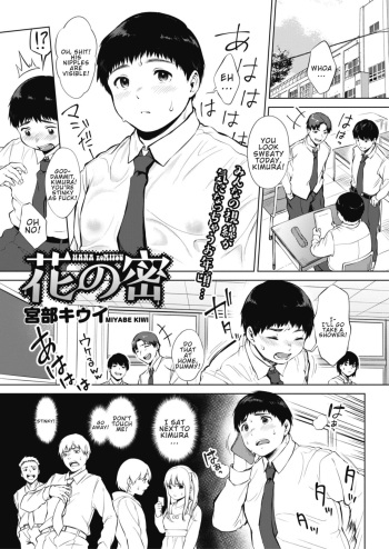 Hana no Mitsu cover