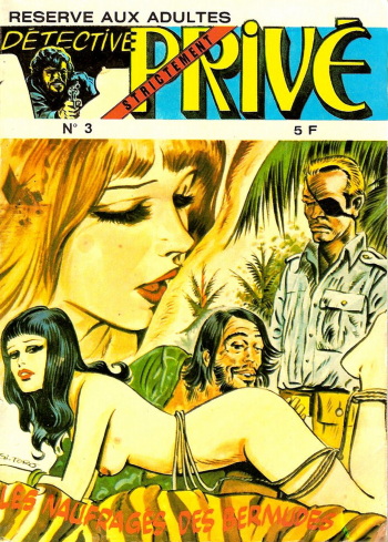Détective Strictement Privé - T03 - Les Naufragés des Bermudes cover