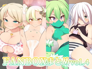 FANBOX Matome vol. 4 cover
