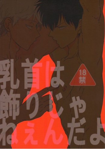 Chikubi wa Kazari Janee nda yo cover