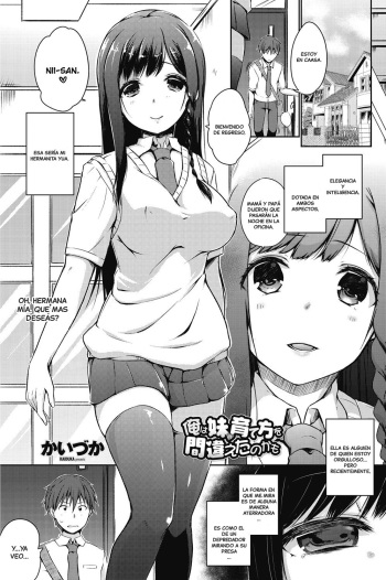 Ore wa Imouto no Sodatekata o Machigaeta Kamo cover